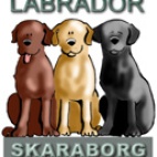 Labrador Skaraborg Logga